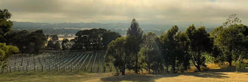 A Guide to Lancefield Wineries: Cool-Climate Wines & Vineyards You’ll Love