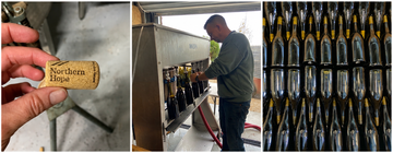 Bottling Day 2025 - 600 Bottles, One Picking Box, and a Lot of Pinot